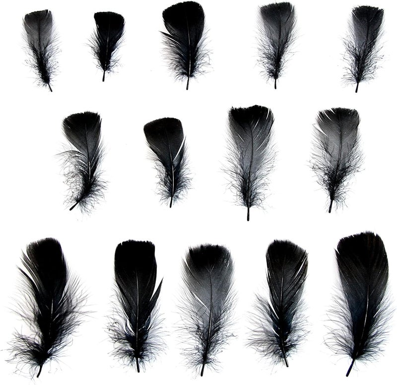 Lamar Feather 300pcs Black Feathers 2-3 Inches Bulk Feathers for Crafting, Dream Catcher Accessories, Art Projects, DIY Crafting, Handi Crafts, Party Decoration (Black) - Image 2